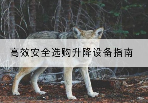 克孜勒苏柯尔克孜升降货梯厂家推荐-*安全选购升降设备指南