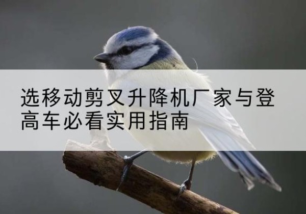 克孜勒苏柯尔克孜电动升降机厂家-选移动剪叉升降机厂家与登高车必看实用指南